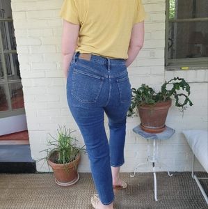 Madewell Perfect Vintage Jean Arland Wash 29